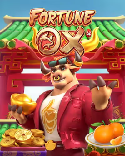 55jogar
