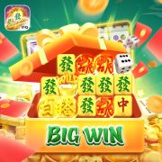 8pg cassino